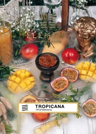 Табак для кальяна Element Земля Tropicana, 25 гр