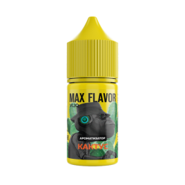 Ароматизатор VLIQ MAX Flavor Кактус 15мл